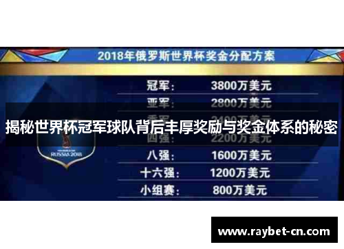 揭秘世界杯冠军球队背后丰厚奖励与奖金体系的秘密